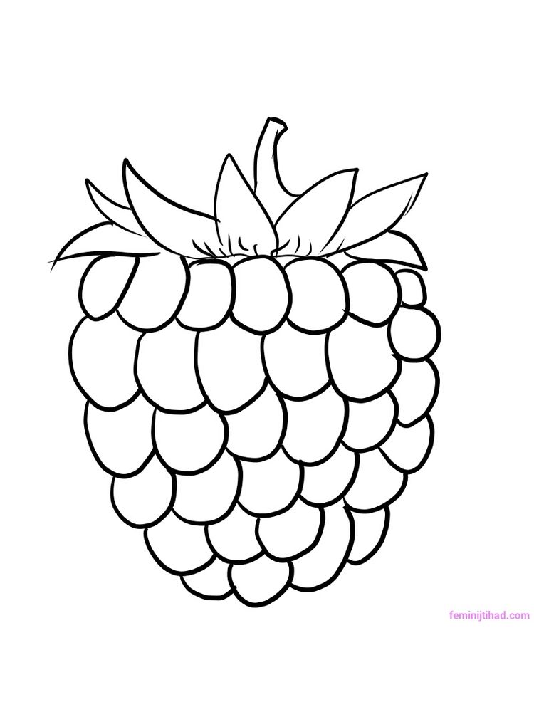 free raspberry coloring picture