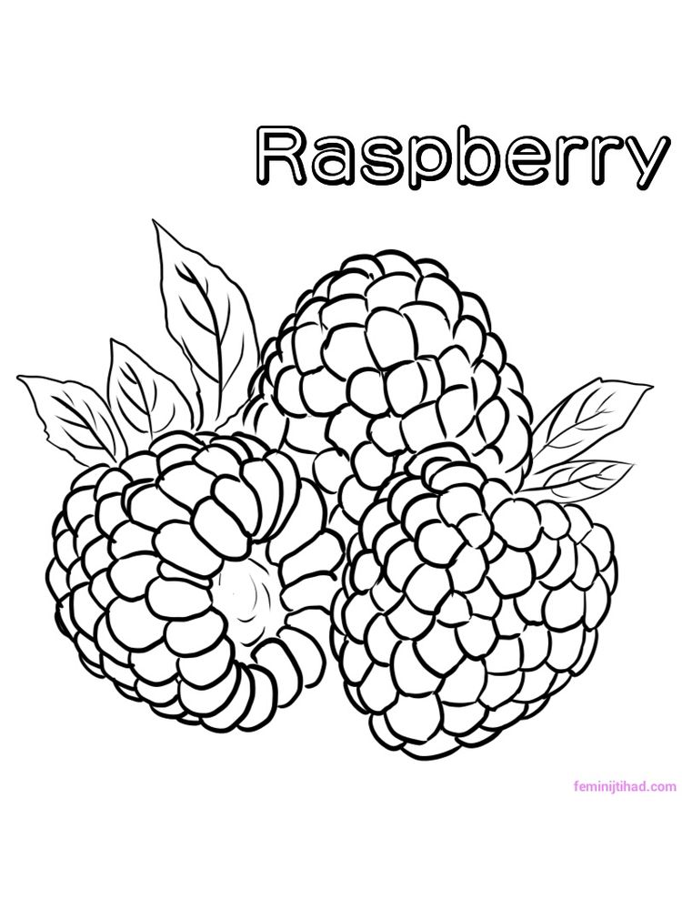 free raspberry coloring