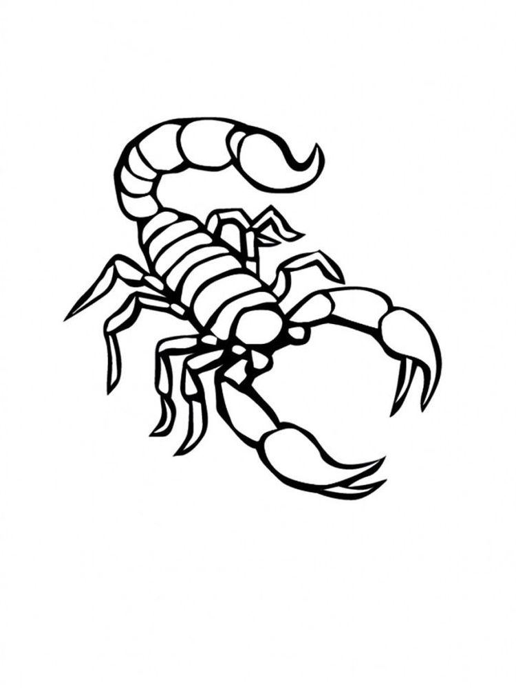 free scorpion coloring pages print