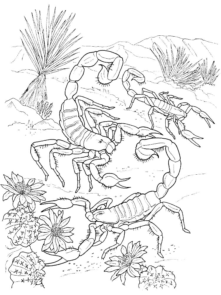 free scorpion coloring pages printable