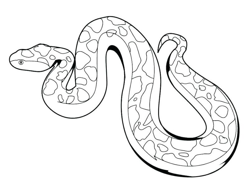 gardner snake coloring pages