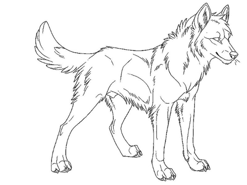 grey wolf coloring pages free