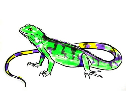 Iguana Printable Coloring Pages