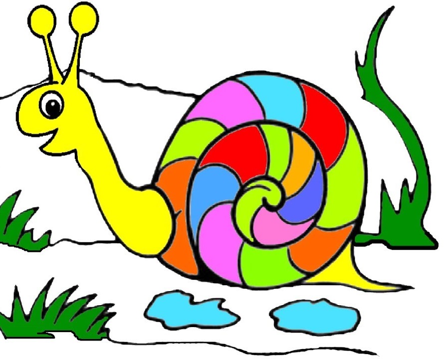 Snail Coloring Pages Printable