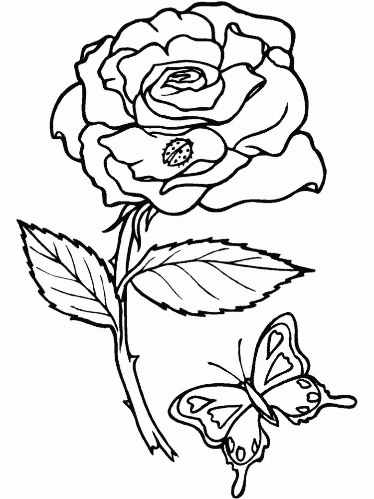 insects coloring pages pdf print