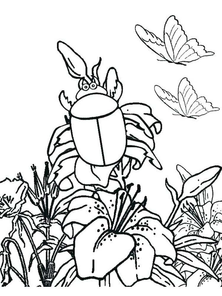 insects coloring pages print