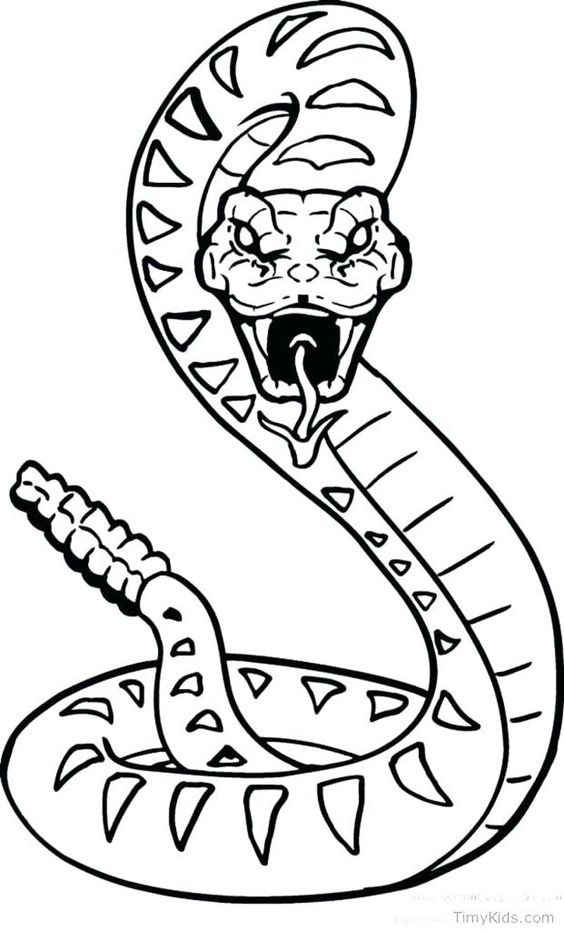 king snake coloring pages pdf