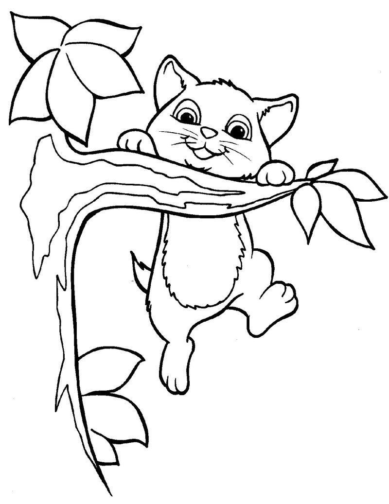 kitten coloring pages for kids