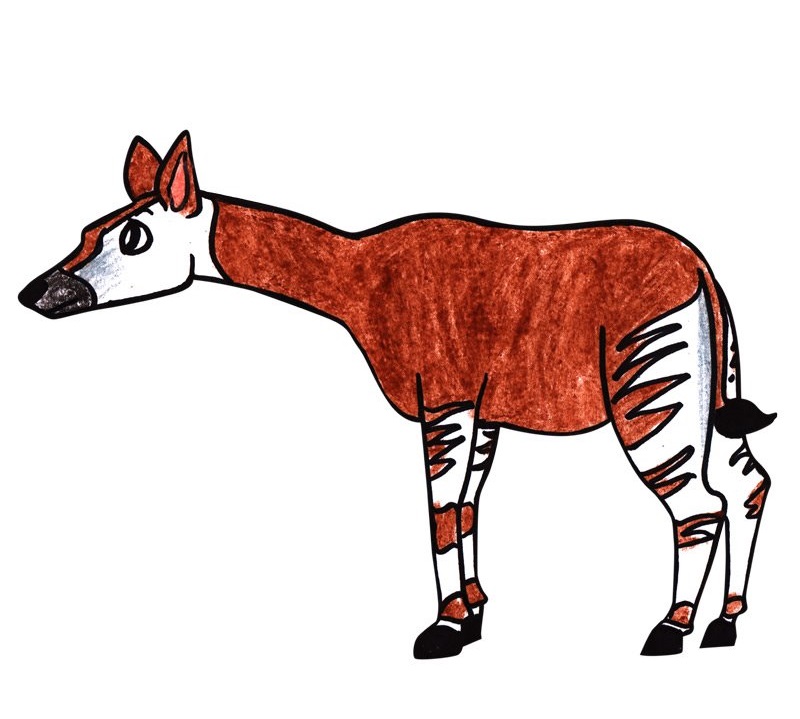 Unique and Interesting Animal, Okapi Printable Coloring Pages