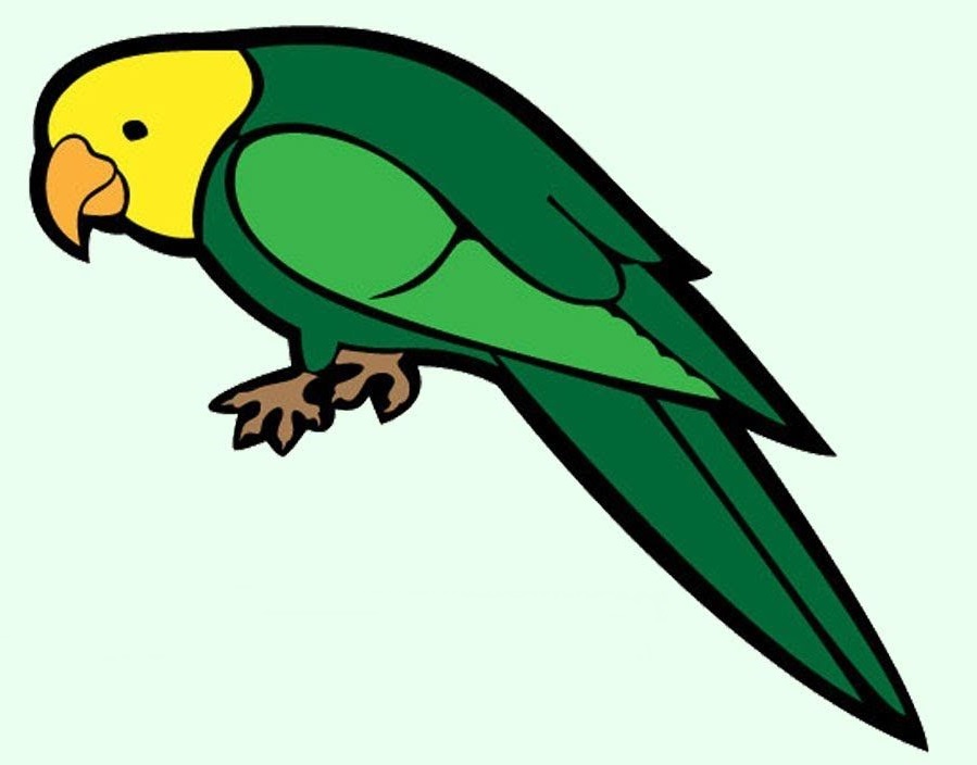 Colorful Birds, Parrot Coloring Pages