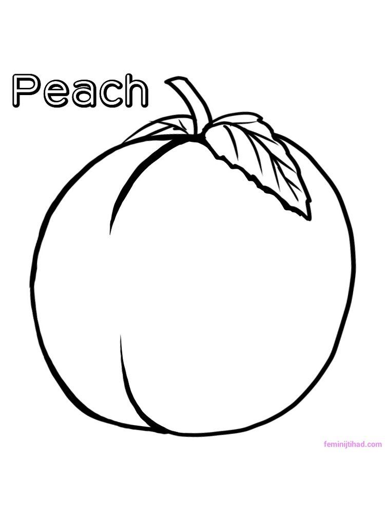 peach coloring pages pdf free