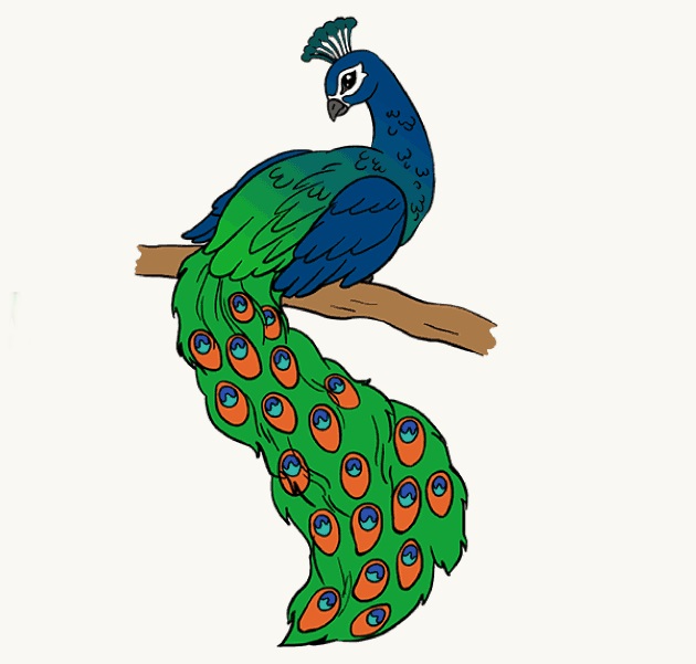 Stunning and Vibrant Plumage, Peacock Coloring Pages