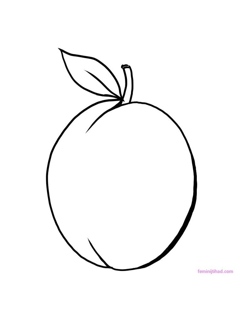 plum coloring pages print