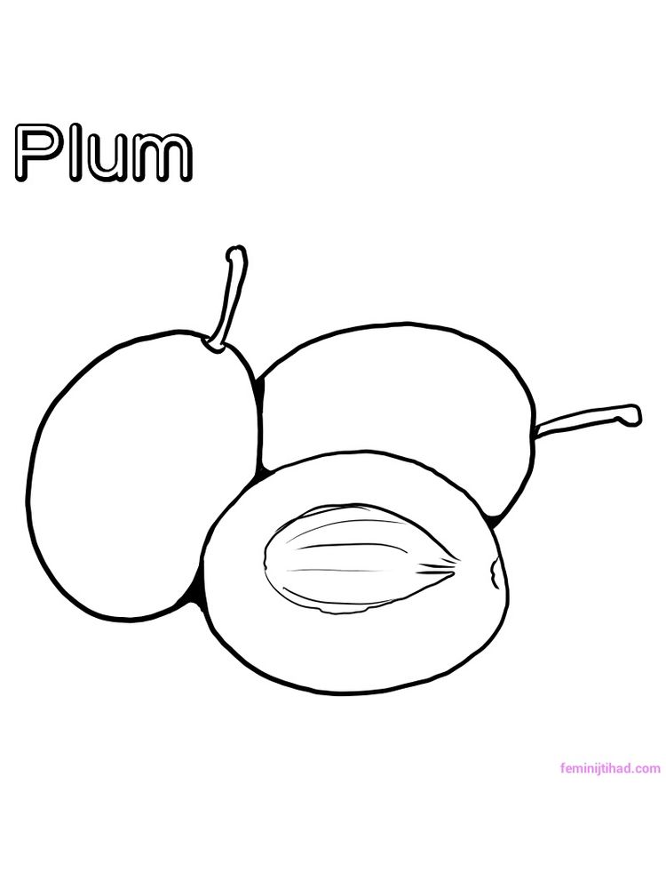 plum coloring sheet