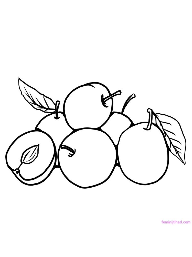 plum for coloring page