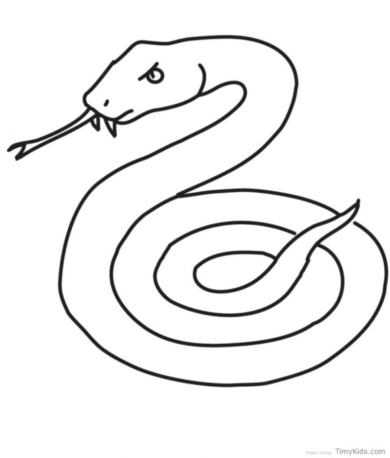 preschool snake coloring pages free