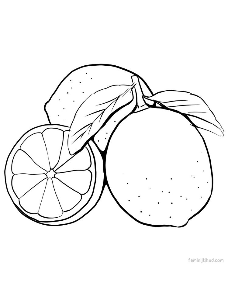 print lime coloring page free