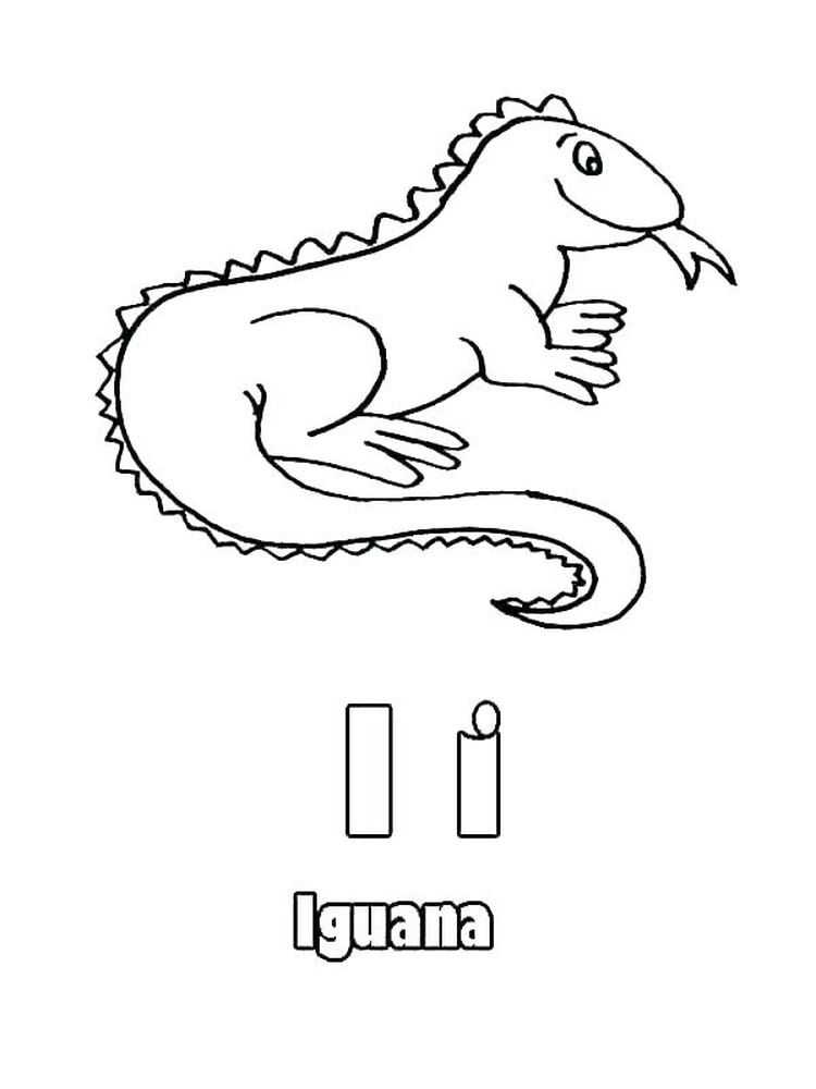 printable Iguana coloring pages print