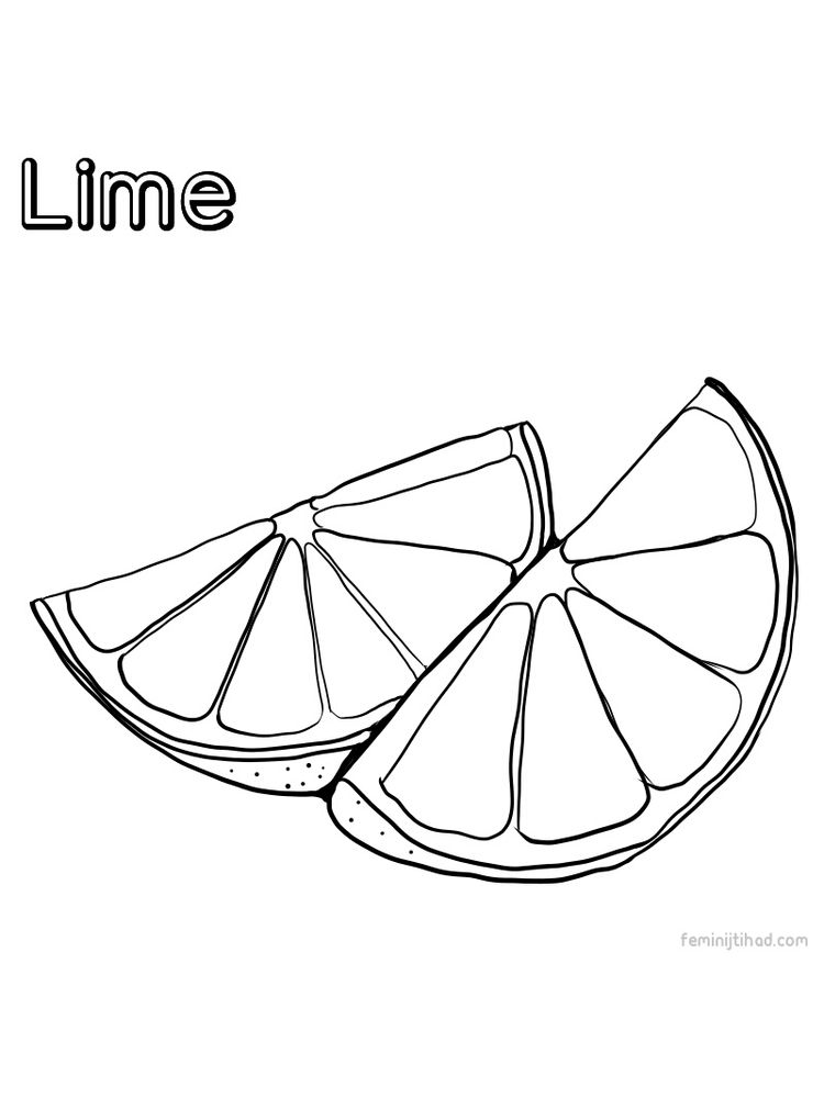 printable lime coloring free image