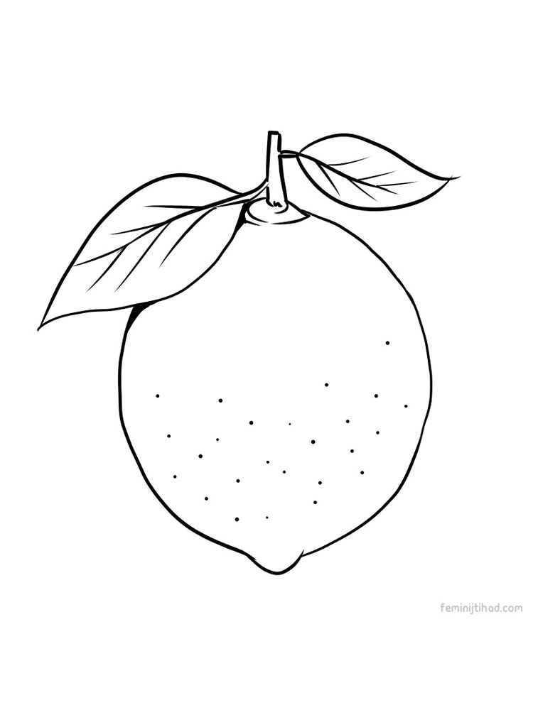 printable lime coloring picture pdf