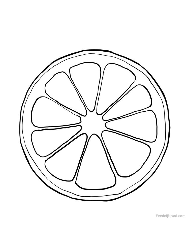 printable lime coloring sheet pdf