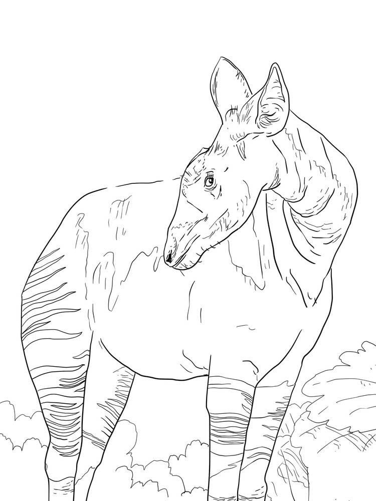 printable okapi coloring pages free