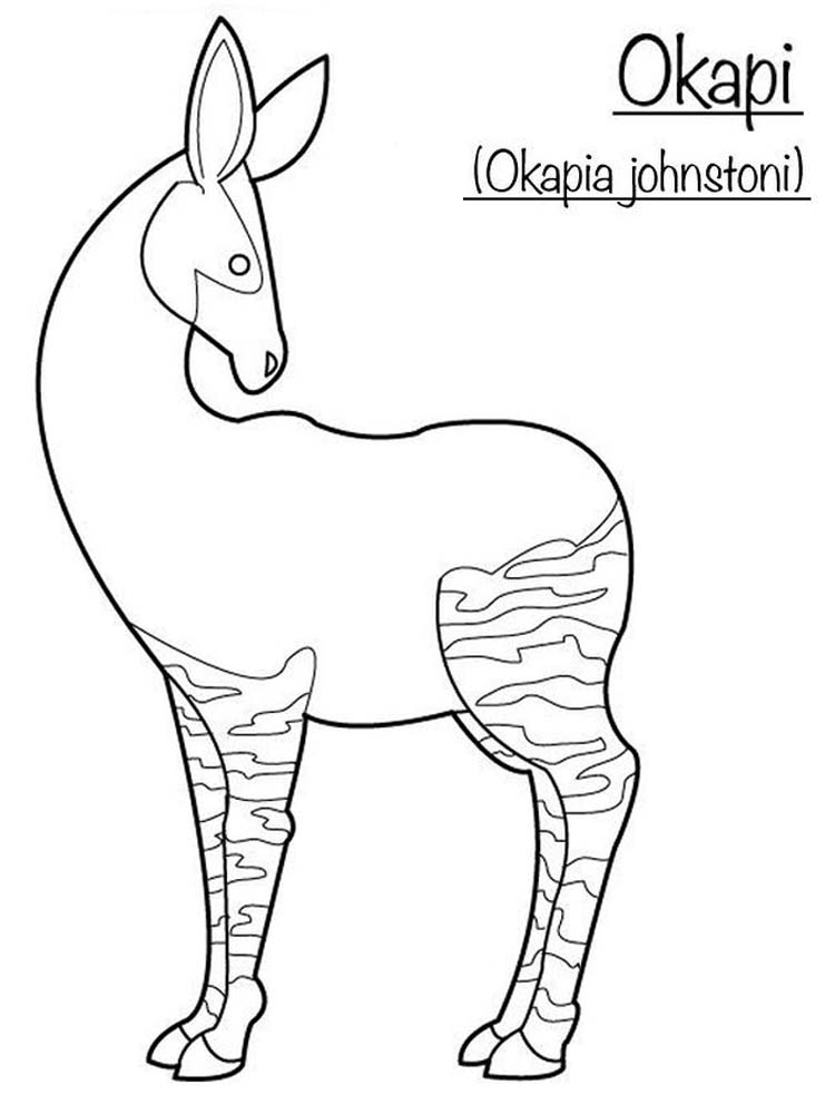 printable okapi coloring pages pdf