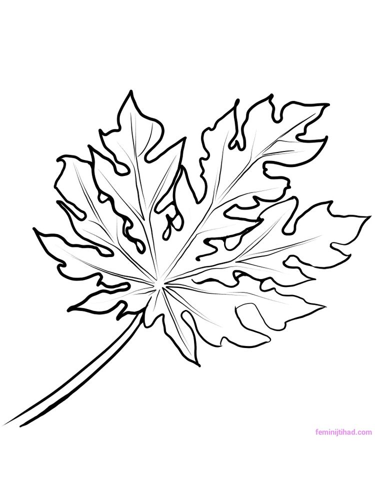 printable papaya coloring page