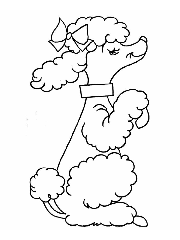 printable poodle coloring page download