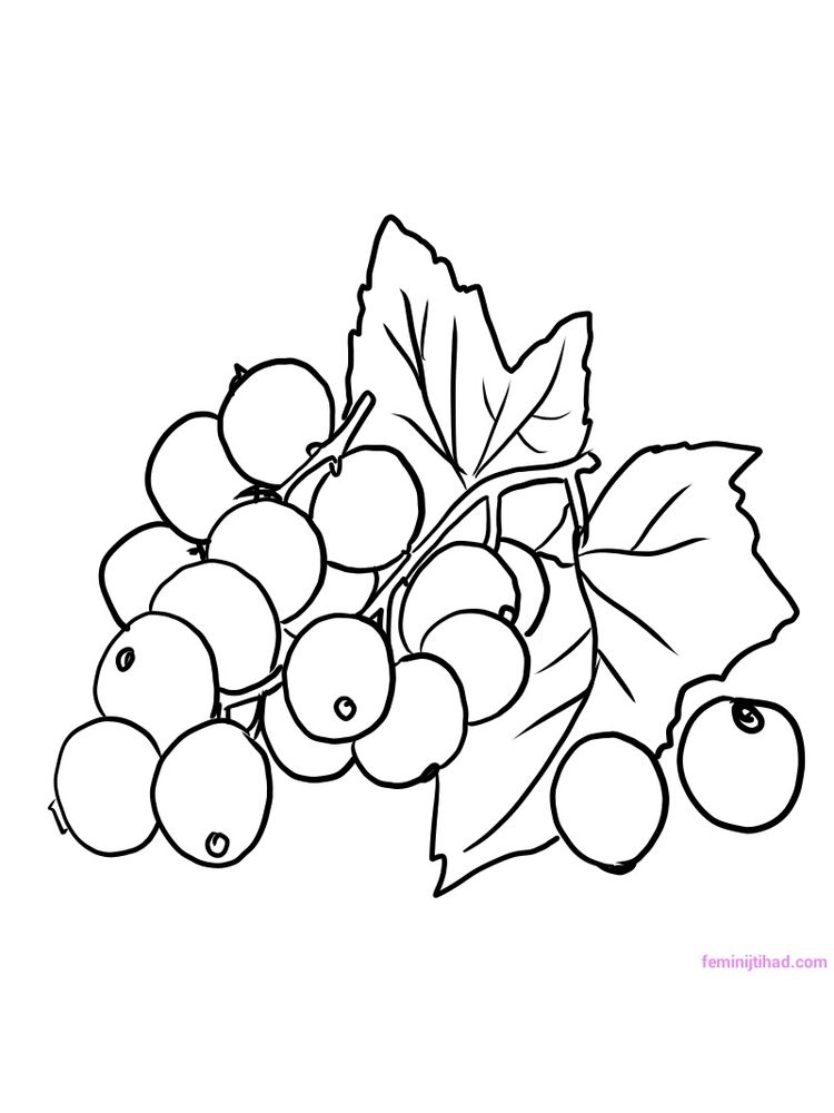 printable red currant black and white