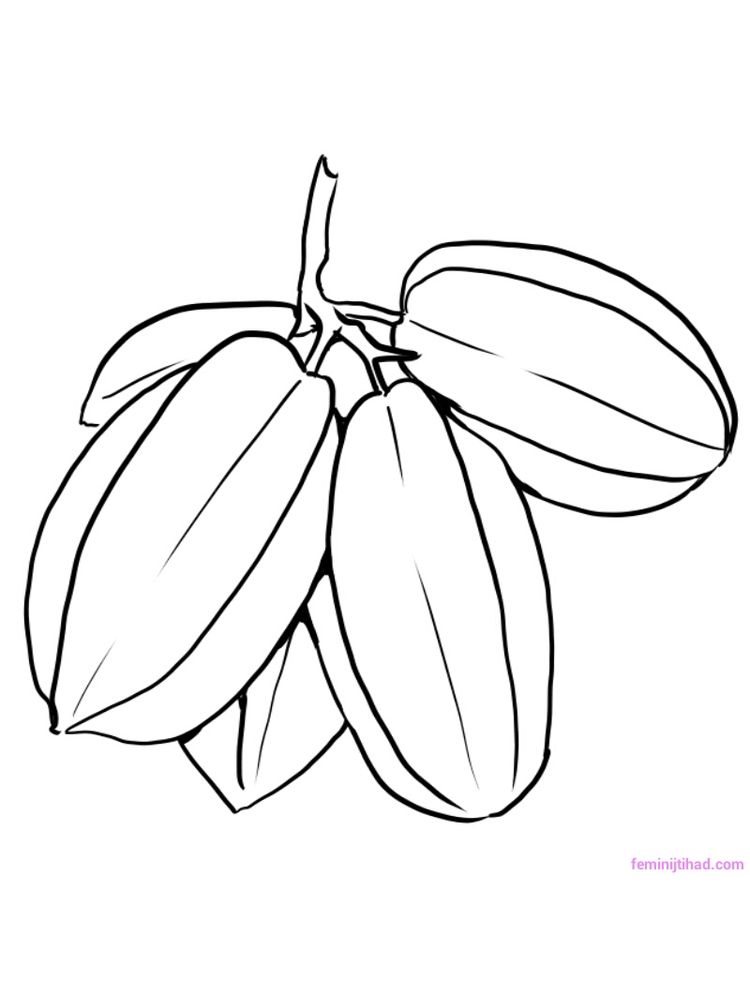 printable star fruit coloring