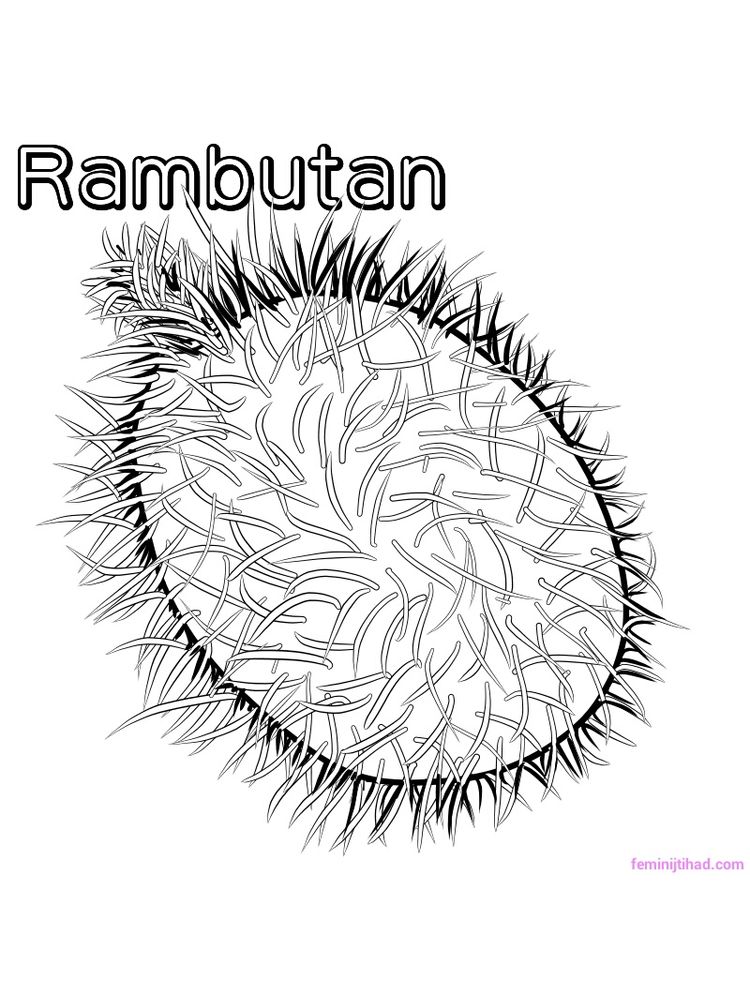 rambutan coloring pages pdf