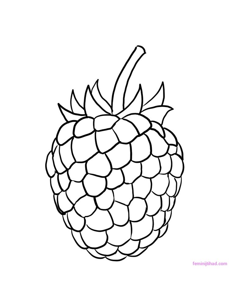 raspberry coloring image free