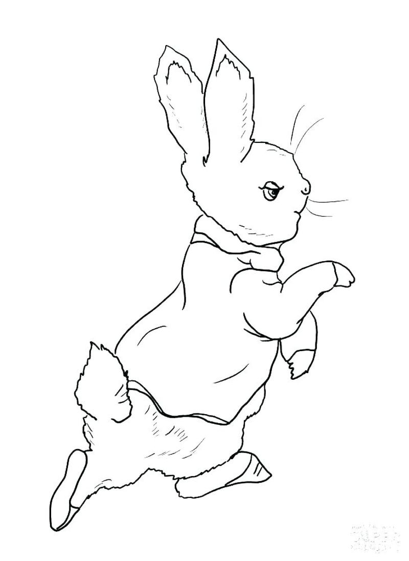 realistic rabbit coloring pages