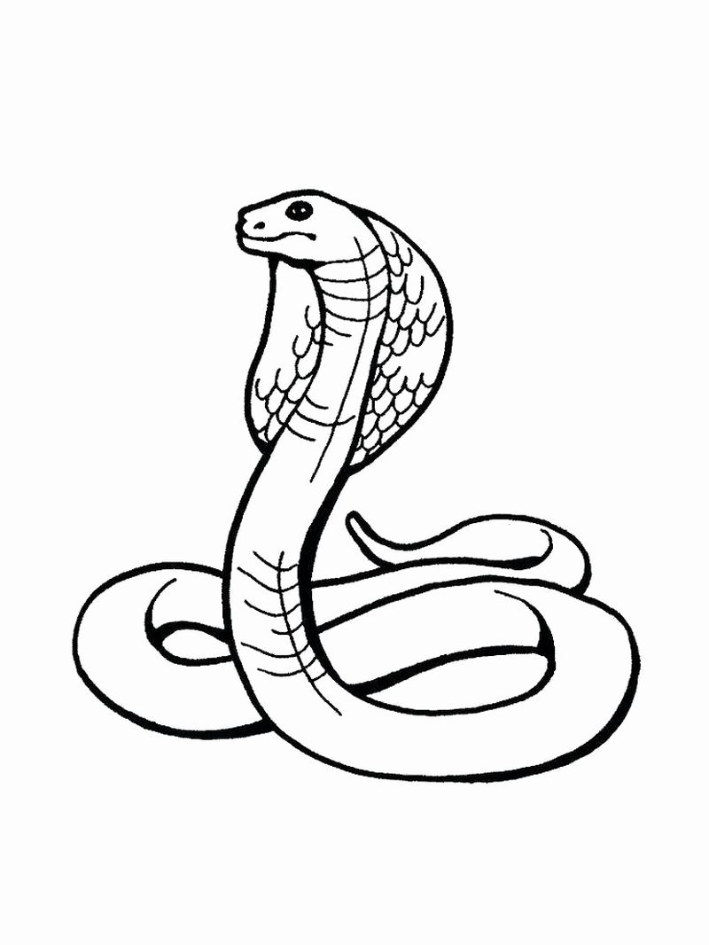 snake coloring pages for adults free