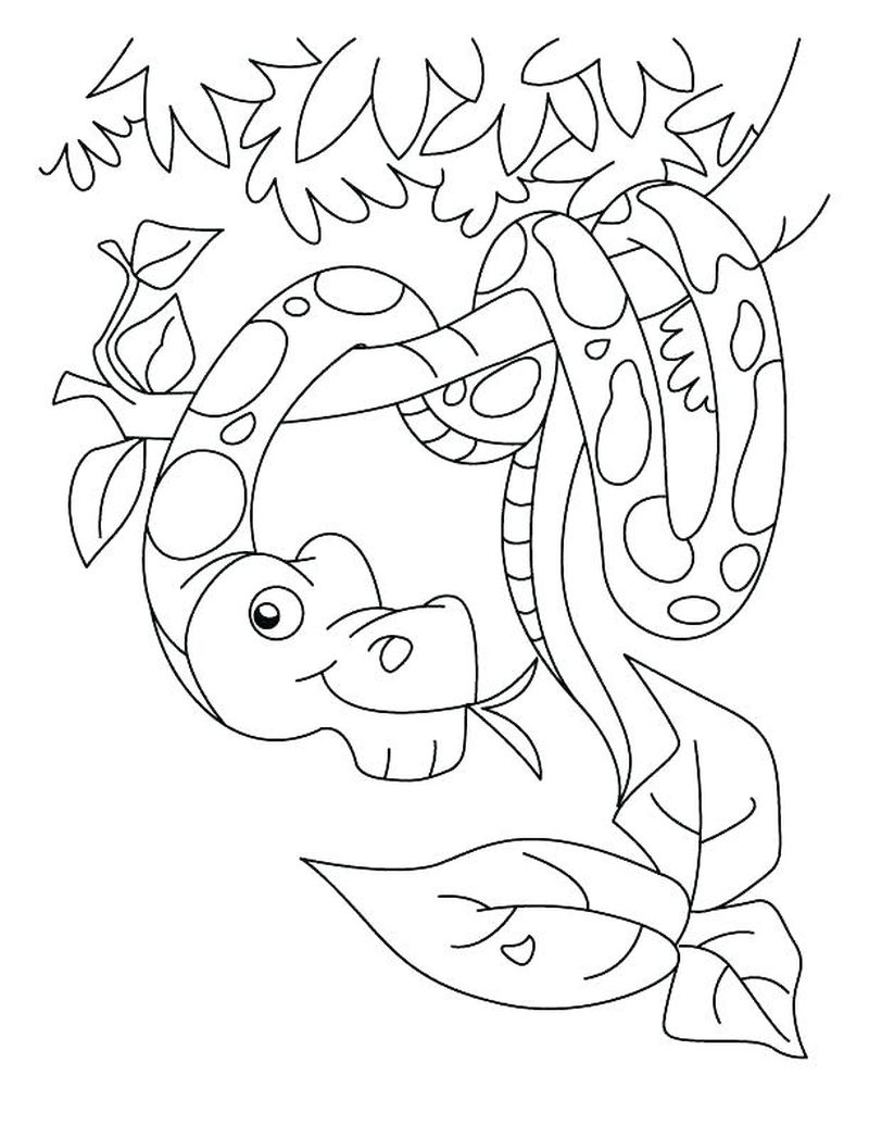 snake lady coloring pages free