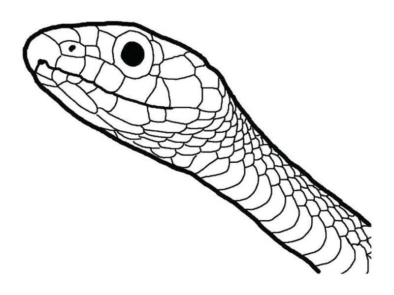 snake like mega forms pokemon coloring pages free