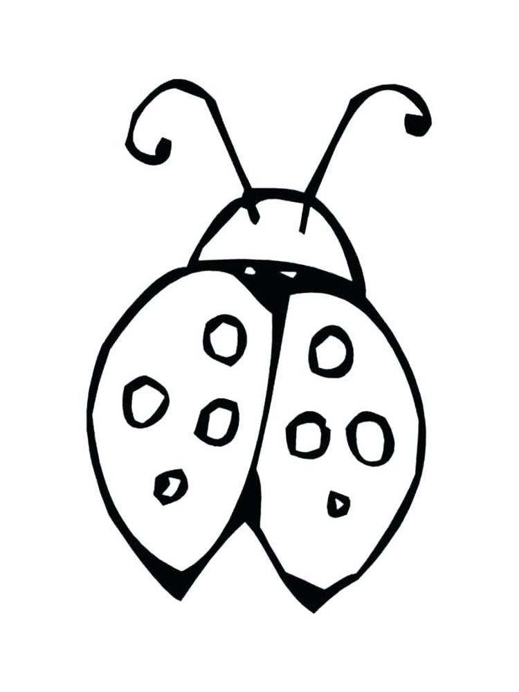 spring insects coloring pages print