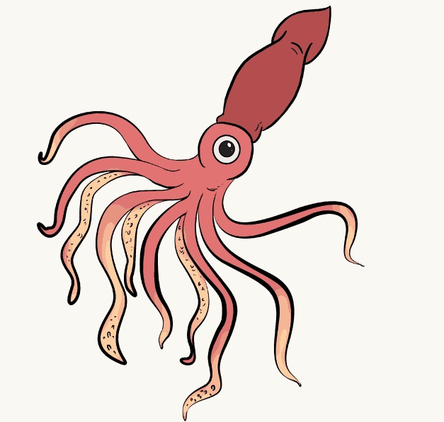 Squid Animal Coloring Pages