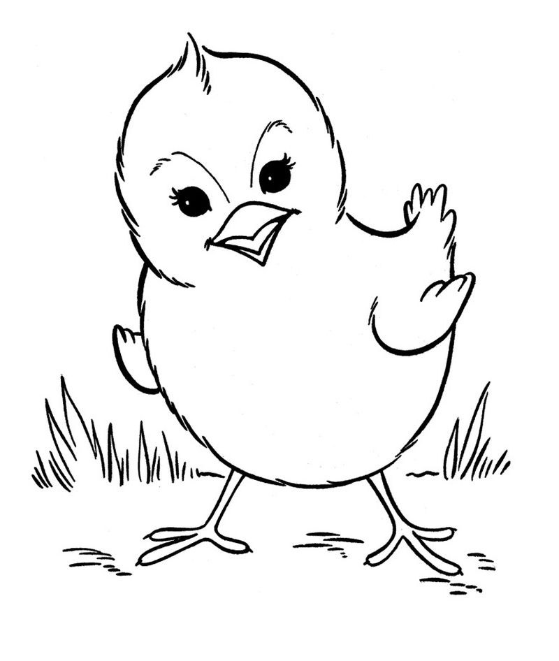 farm animal coloring pages to print out