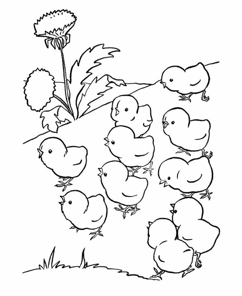 farm animals coloring pages pdf