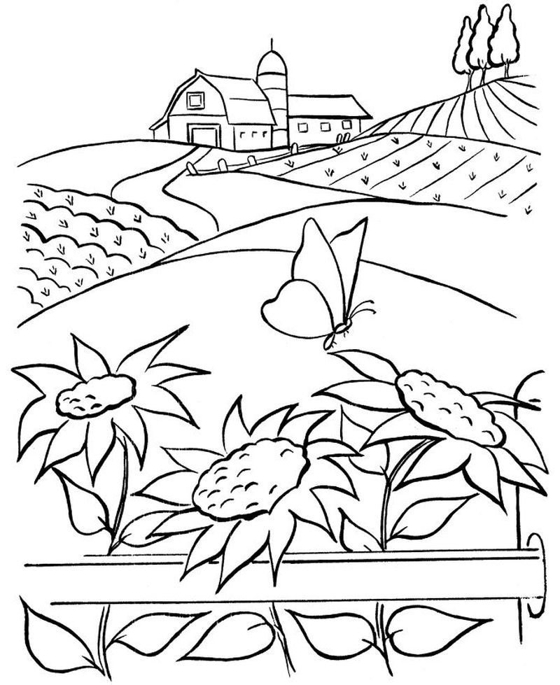 farm coloring book pictures