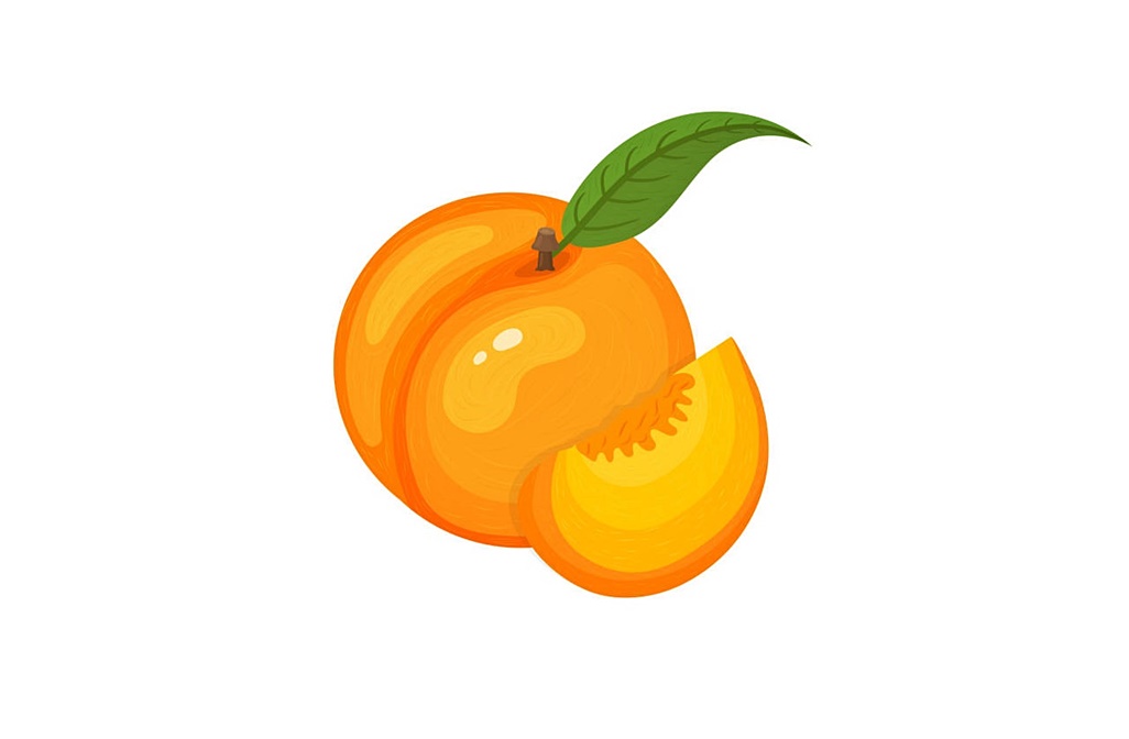 Apricot Coloring Images