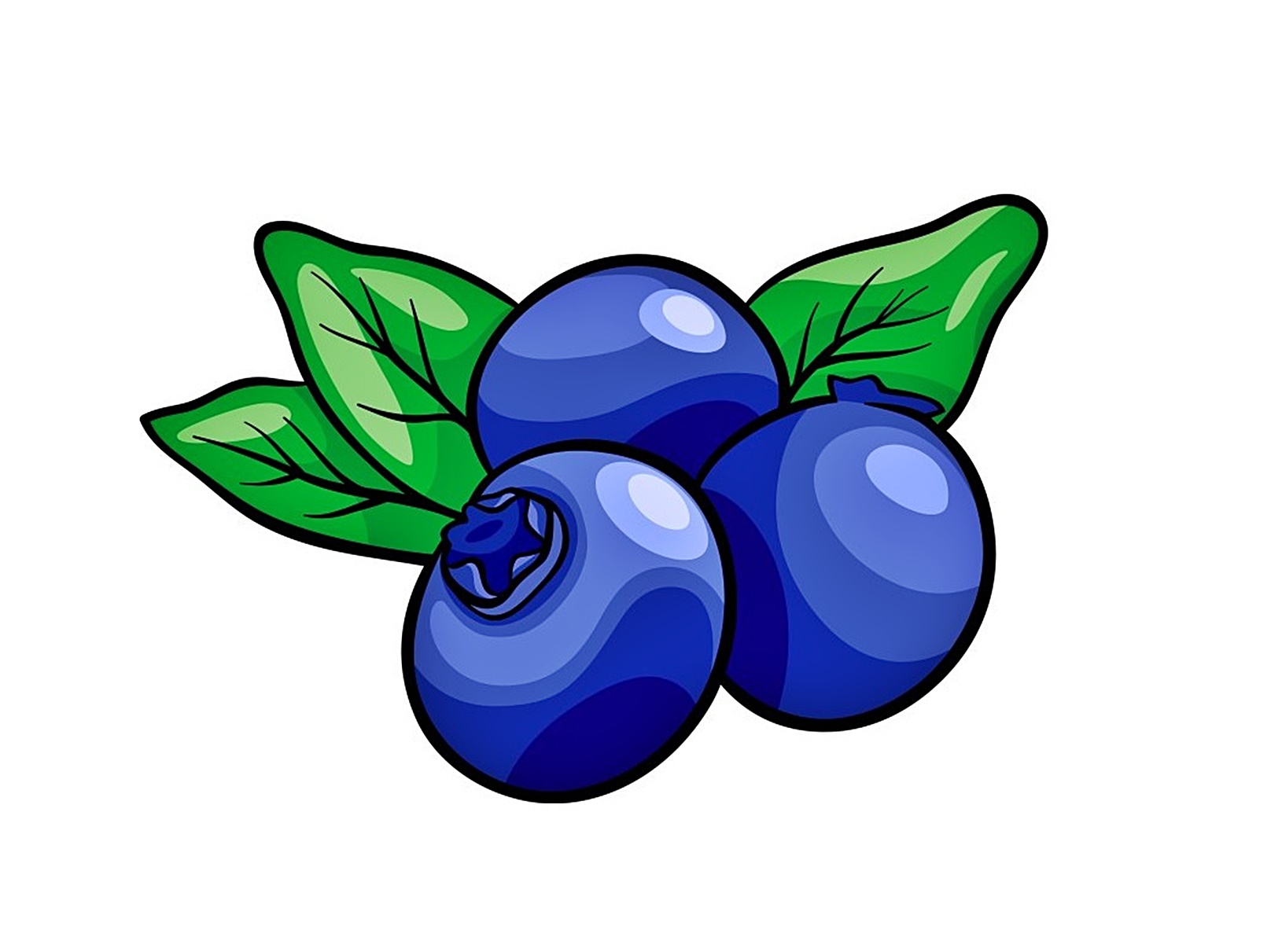 Blueberry Coloring Image