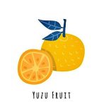 Image Yuzu Fruit Coloring Pages