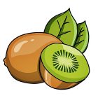 Kiwi Fruit Coloring Image
