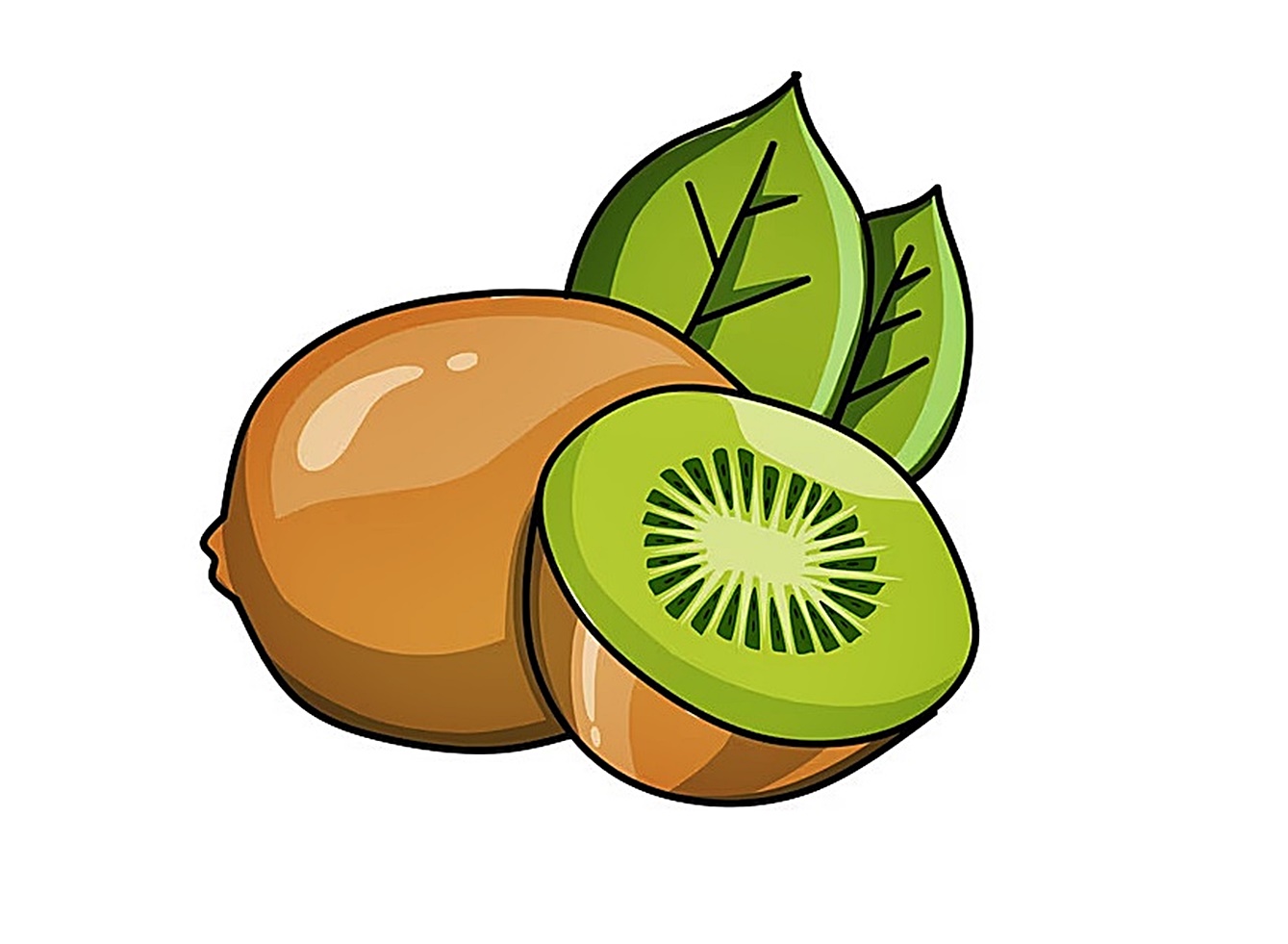 Kiwi Fruit Coloring Image
