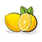 Lemon fruit sliced and whole with small leaf, vector illustration
