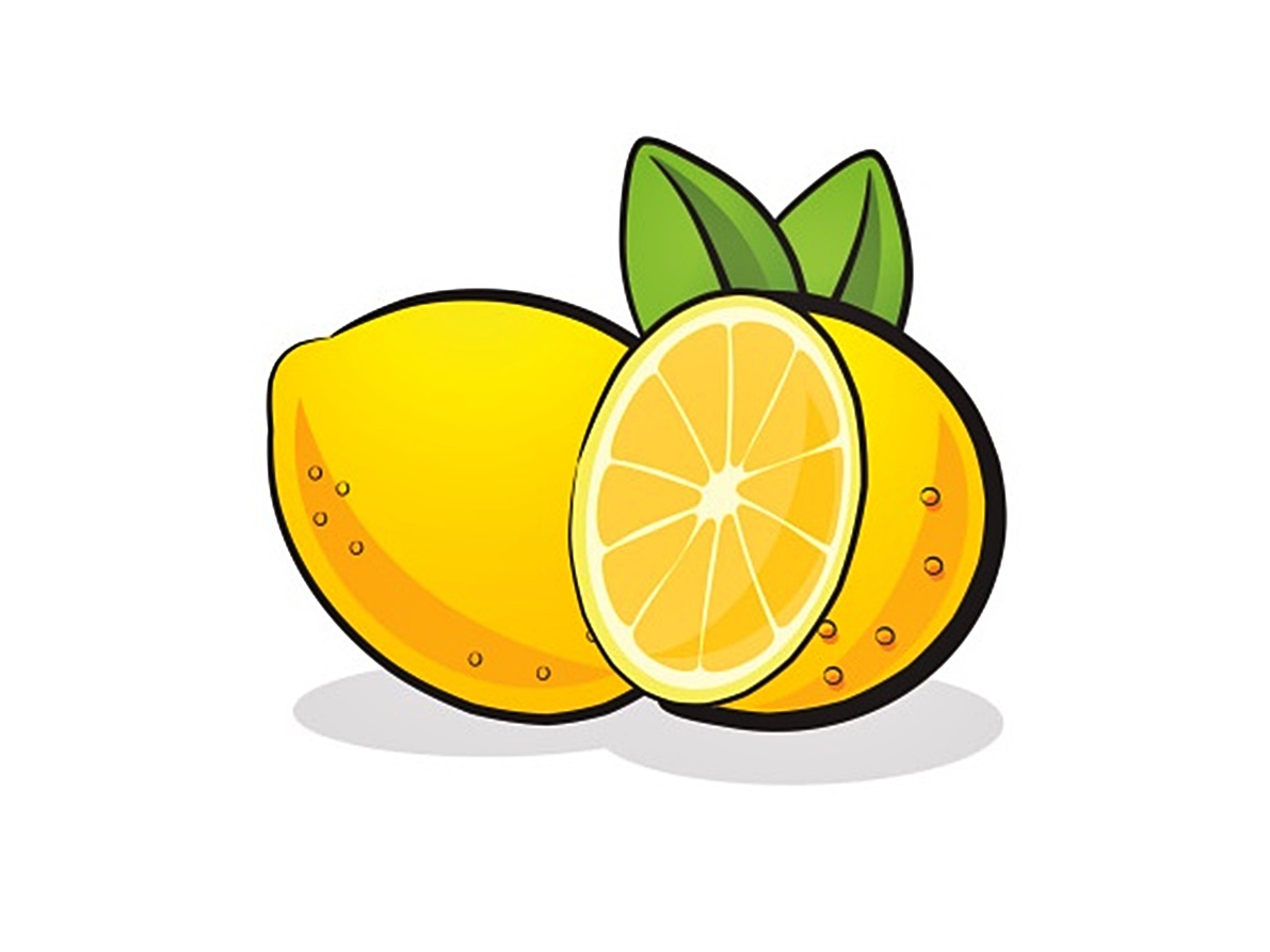 Lemon fruit sliced and whole with small leaf, vector illustration