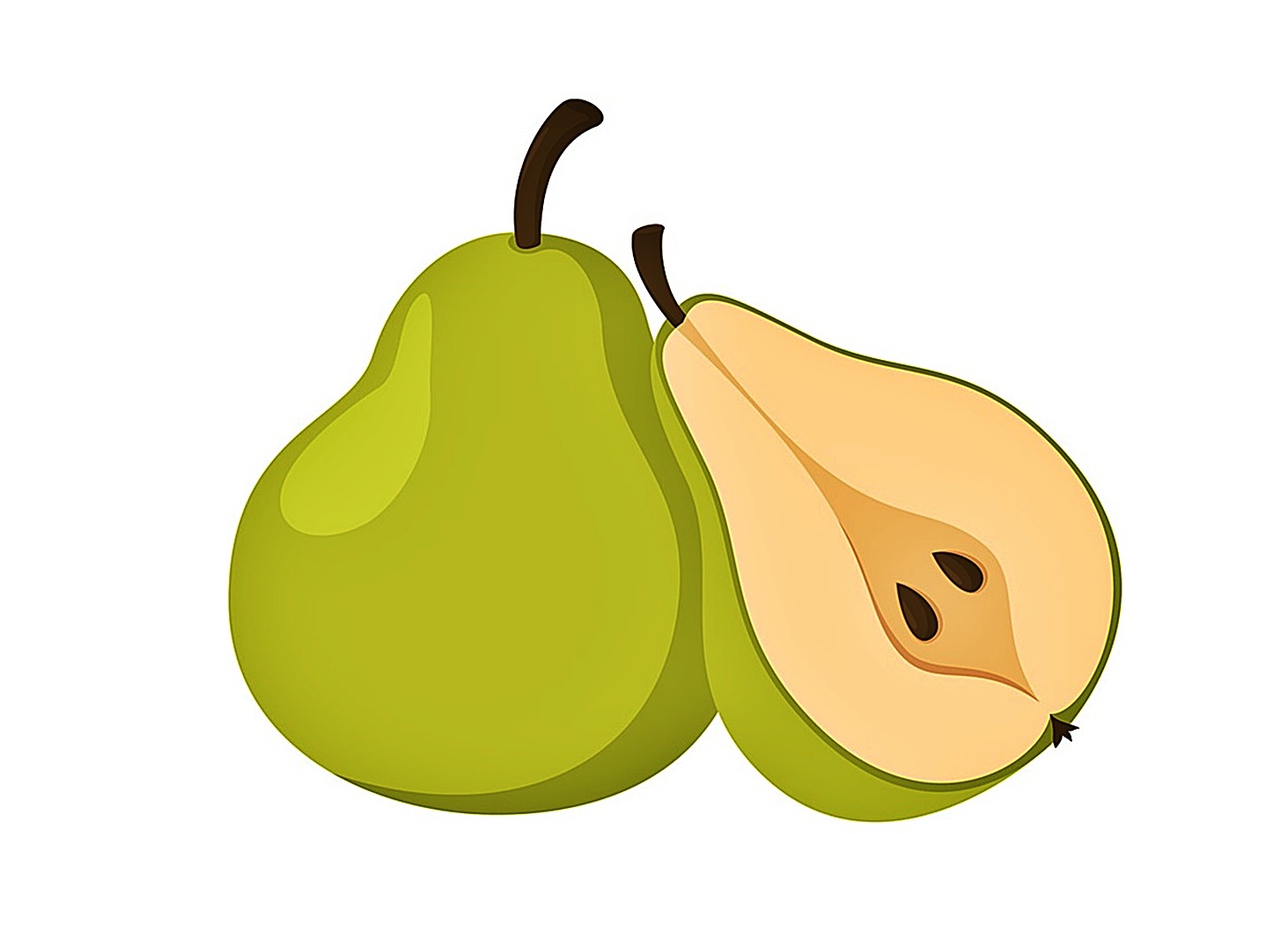 Pear coloring images